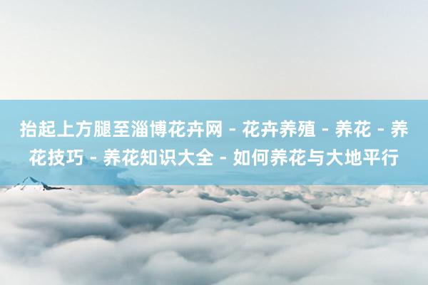 抬起上方腿至淄博花卉网 - 花卉养殖 - 养花 - 养花技巧 - 养花知识大全 - 如何养花与大地平行