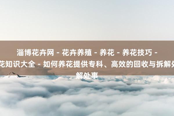 淄博花卉网 - 花卉养殖 - 养花 - 养花技巧 - 养花知识大全 - 如何养花提供专科、高效的回收与拆解处事